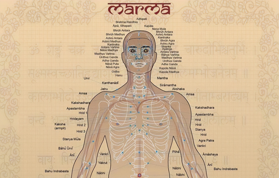 Marma body – přehled bodů v těle